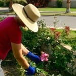 Our community gardeners are second to none in Indio RV Parks