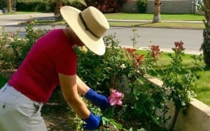 Our community gardeners are second to none in Indio RV Parks
